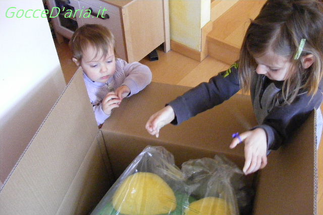 2012 0227013
