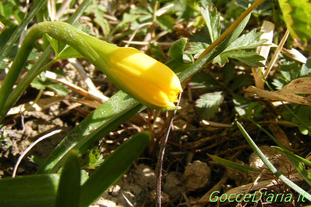 2012 0310025