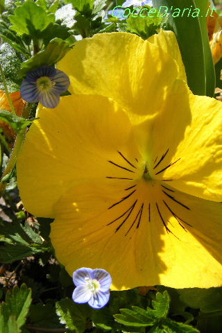 2012 0310032