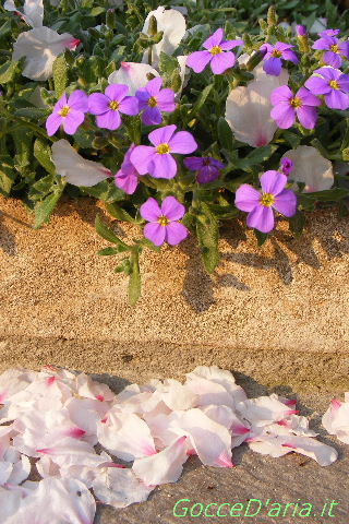 2012 0325038