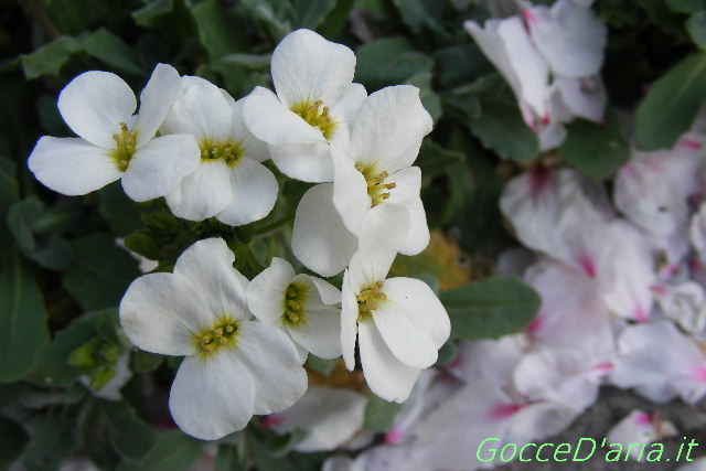 2012 0325049