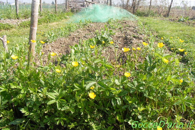 2012 0410021