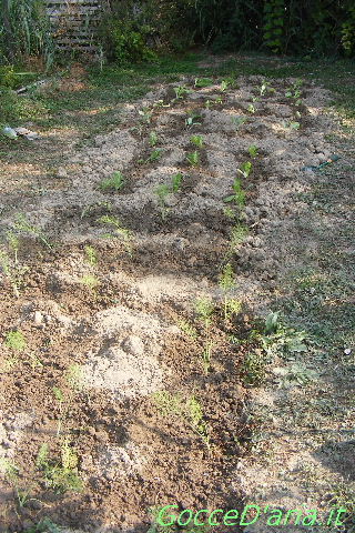 2012 0815044