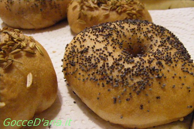 bagels cotti