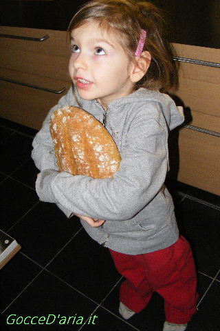 2012 0209002