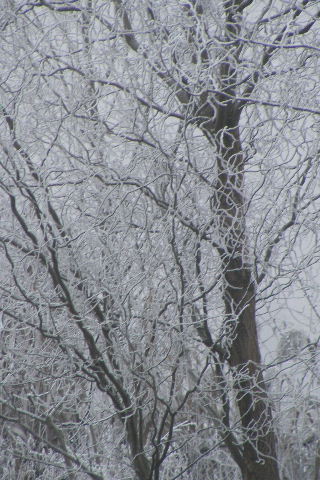 2012 0119034