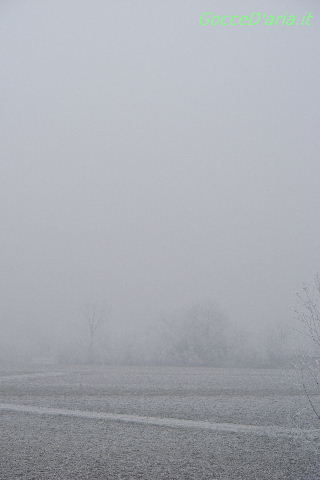 2012 0119037
