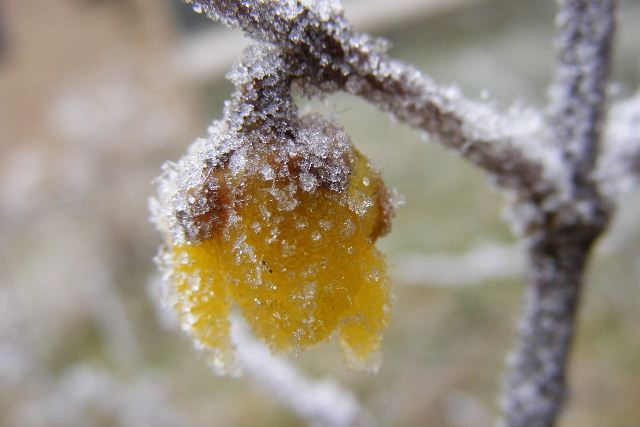 2012 0119046