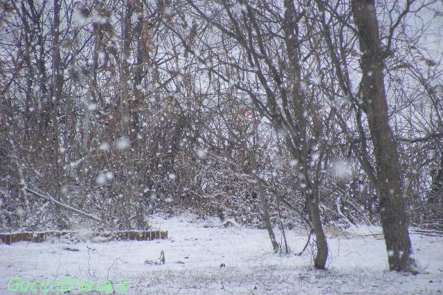 2012 0212002