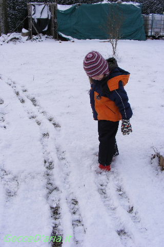 2012 0212026