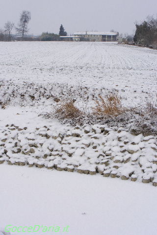 2012 0212049