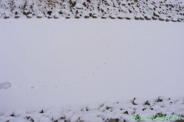2012 0212052