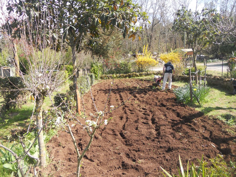 fresatura terreno