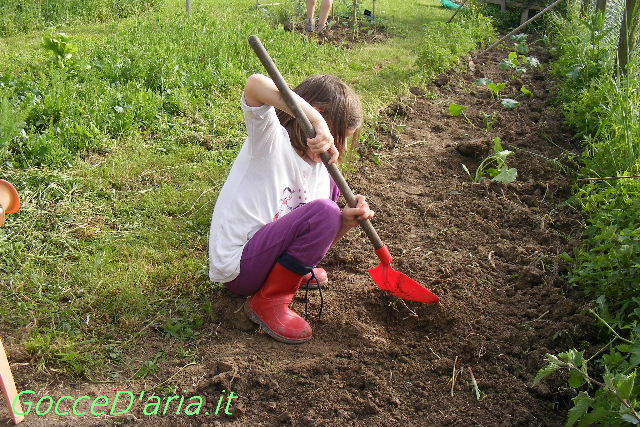 DSCF8854