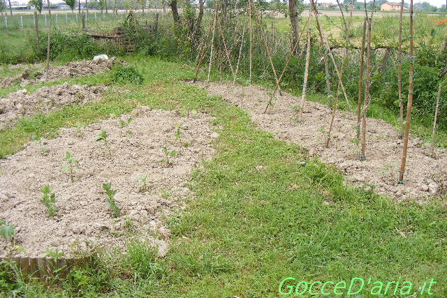DSCF8926