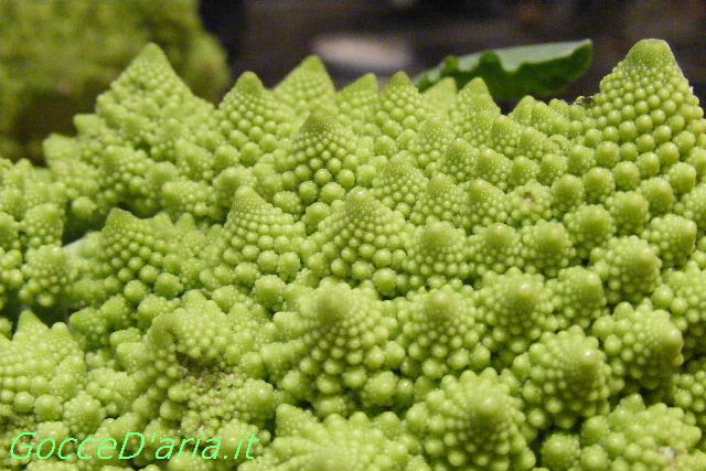 DSCF4656