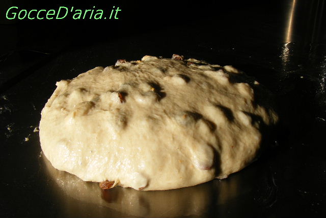 DSCF4721