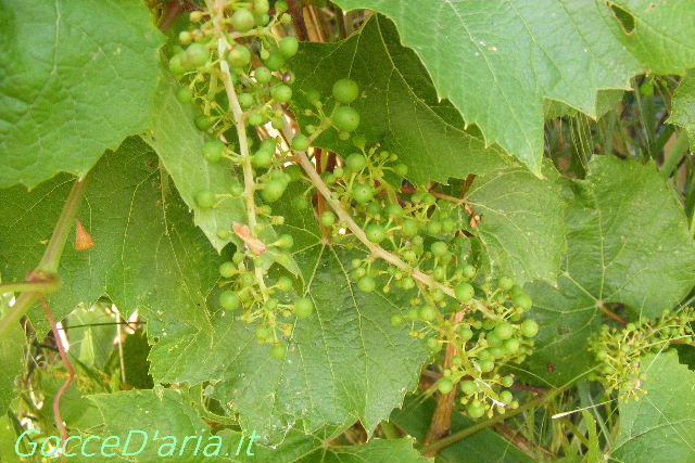 DSCF8137