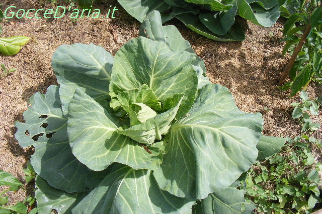 DSCF8702