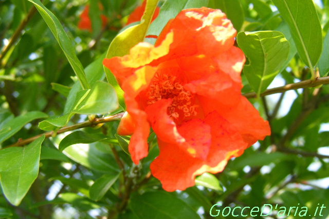 DSCF8799