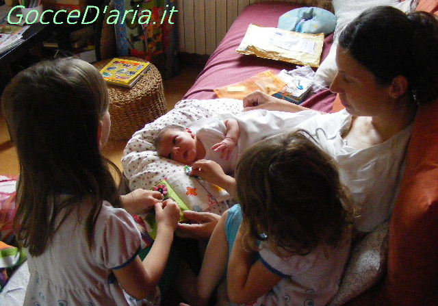 DSCF8682-gd