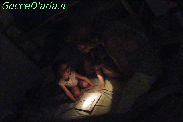 DSCF8740