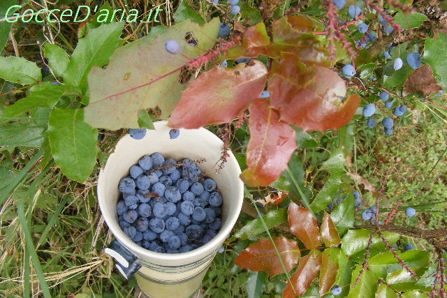 DSCF9103