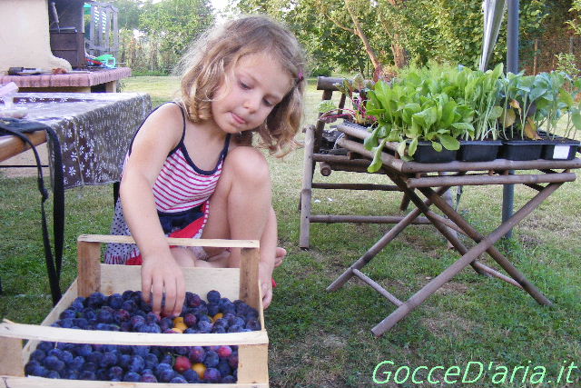 DSCF0396-gd