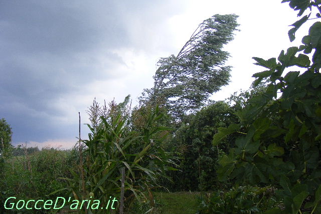 DSCF9950-gd