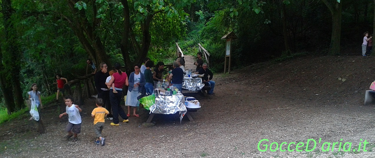 pic-nic3