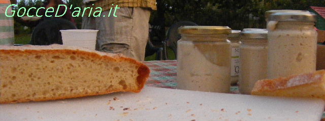DSCF1137-rit