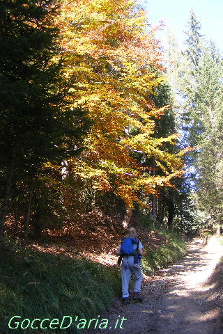 DSCF1643-gd