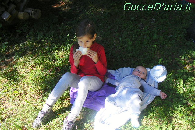 DSCF1661-gd