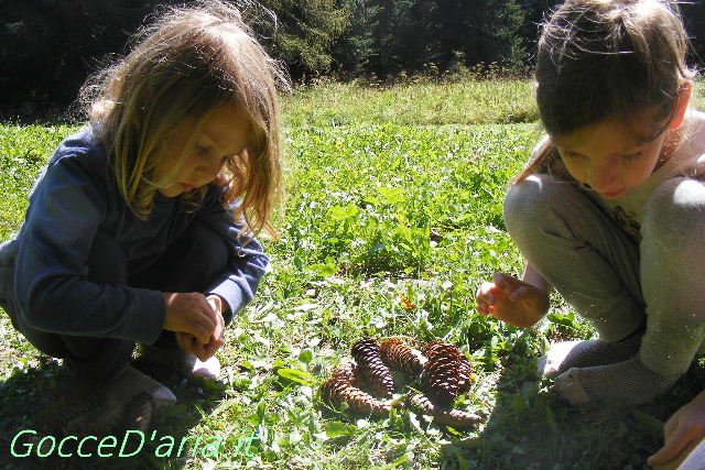 DSCF1682-gd