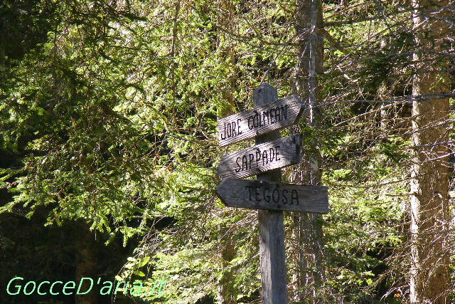 DSCF1717-gd