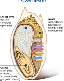 cereale-chicco