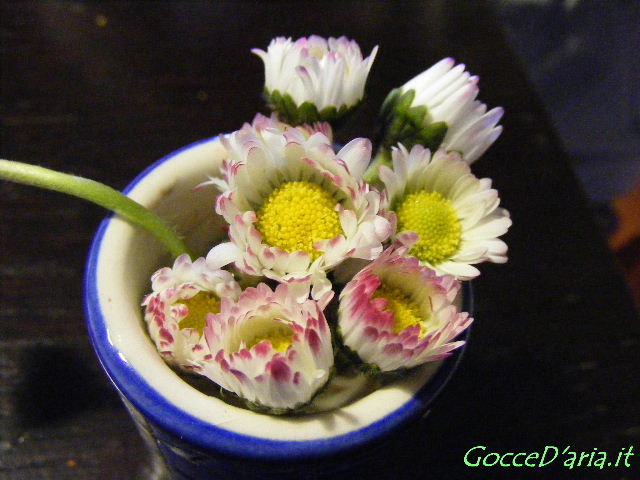 DSCF5458 gd