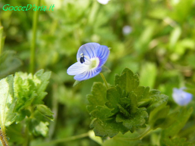 DSCF5993 gd