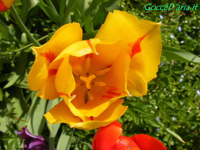 DSCF6202 gd