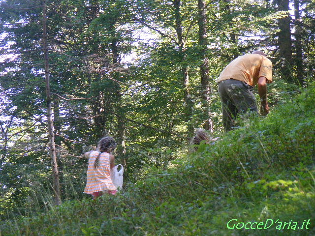 DSCF8040 gd
