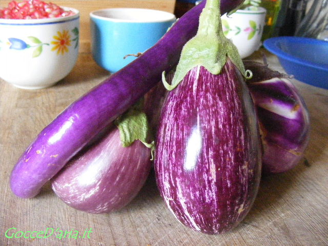 DSCF9176
