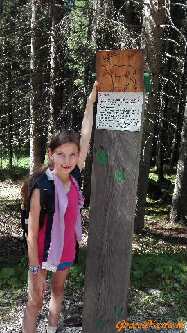 IMG 20160720 152732 gd