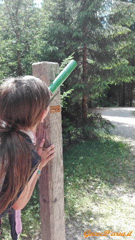 IMG 20160720 153532 gd