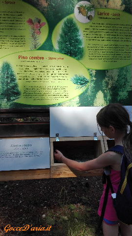 IMG 20160720 160708 gd