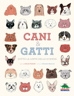 cani e gatti 310 310