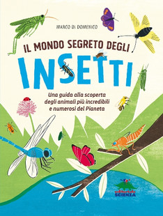 mondo segreto degli insetti 310 310