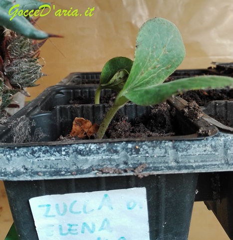 IMG 20180402 175458