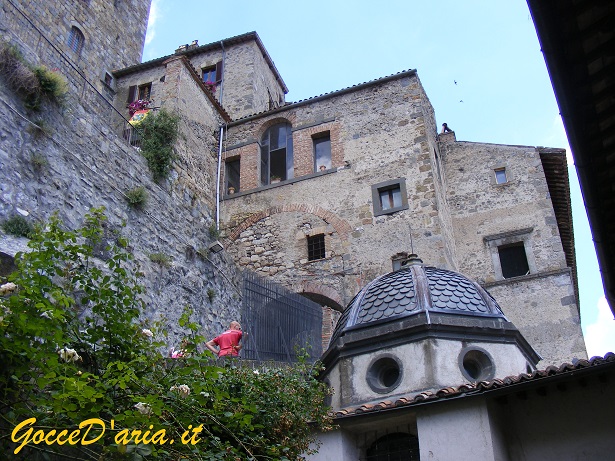 DSCF6878