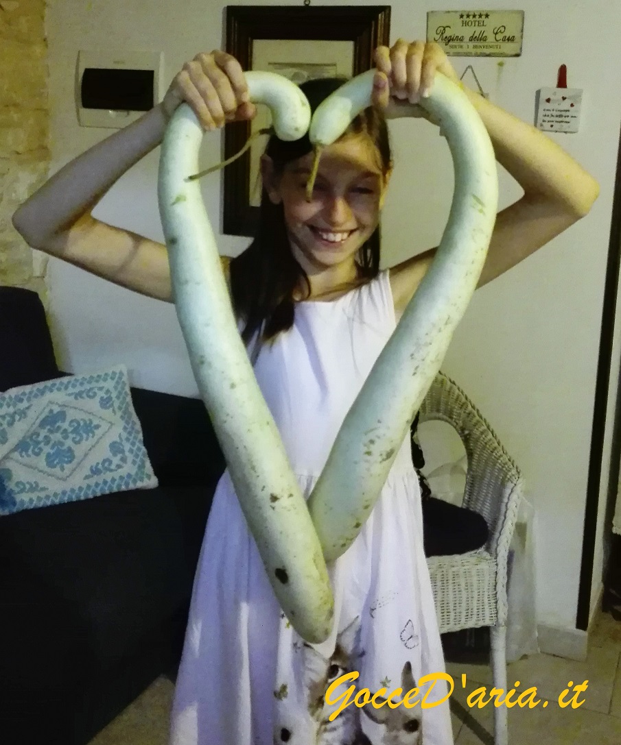 IMG 20180909 190054 2