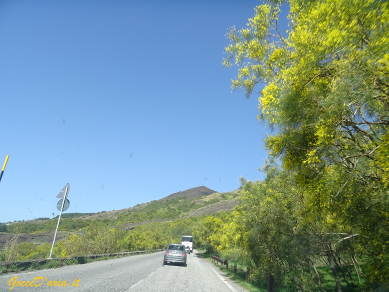 DSC00451